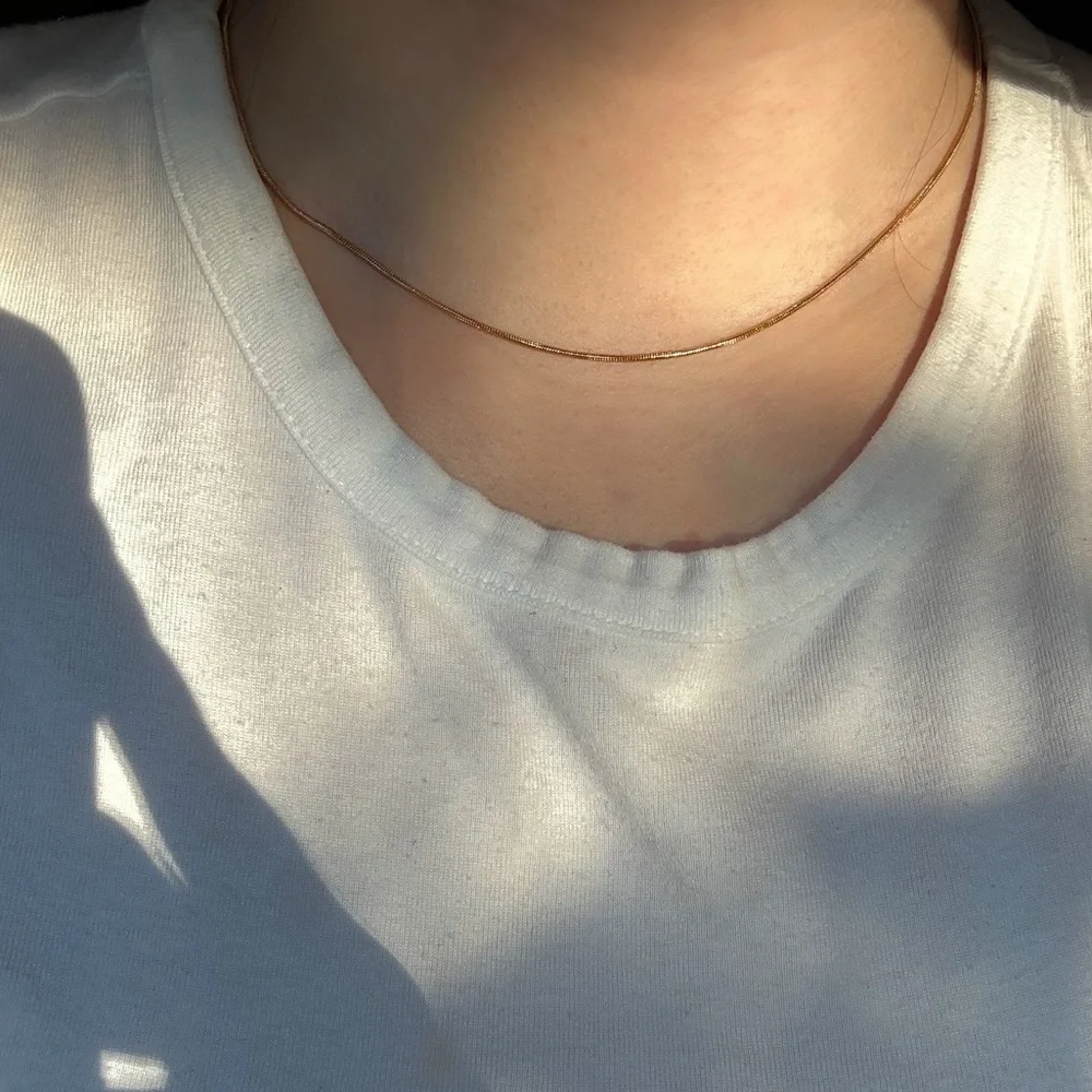 Minimalist Gold Flat Snake Chain Necklace
